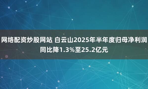 网络配资炒股网站 白云山2025年半年度归母净利润同比降1.3%至25.2亿元